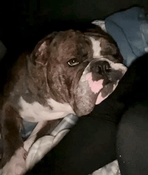 Keith Olbermann tweet media