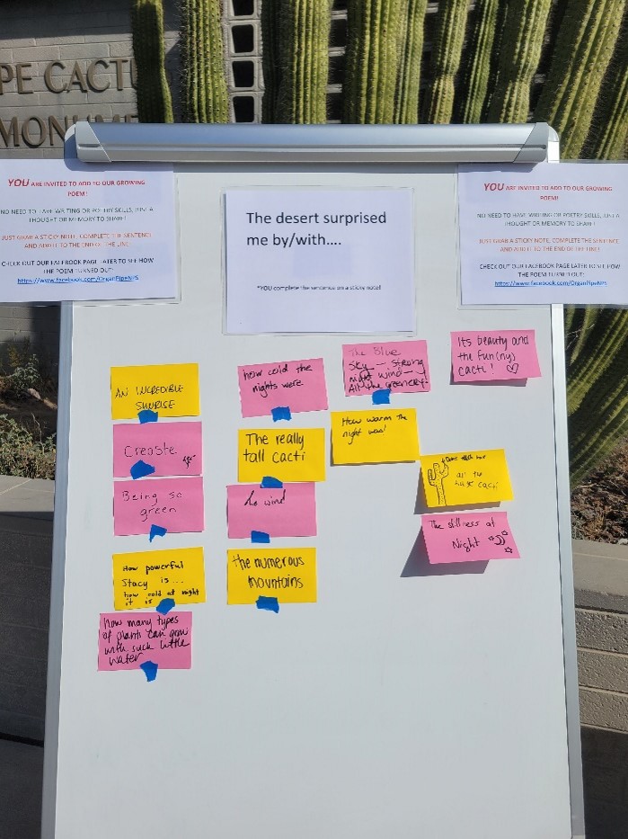 This winter, we are inviting visitors to share their thoughts about the world around them by responding to question prompts and then sharing their responses! Below is today's question: 'The desert surprised me with/by….'