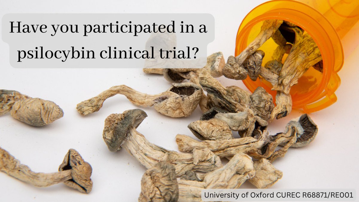 Eddie Talks Drugs (@eddietalksdrugs) on Twitter photo Have you participated in a clinical trial involving #psilocybin-assisted psychotherapy? How has life been after the trial? <a href="/eddietalksdrugs/">Eddie Talks Drugs</a> would love to speak with you about your experiences.
Contact psychedelic.experiences@psych.ox.ac.uk for more information. Have you participated in a clinical trial involving #psilocybin-assisted psychotherapy? How has life been after the trial? <a href="/eddietalksdrugs/">Eddie Talks Drugs</a> would love to speak with you about your experiences.
Contact psychedelic.experiences@psych.ox.ac.uk for more information.