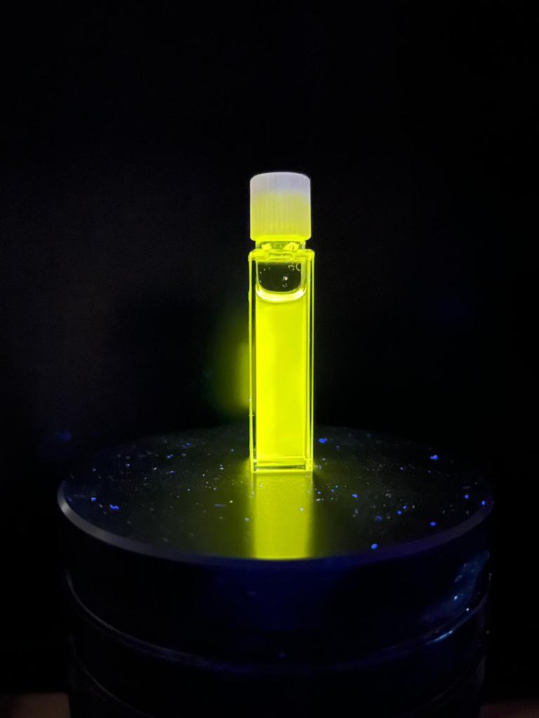 SteffenLab tweet media