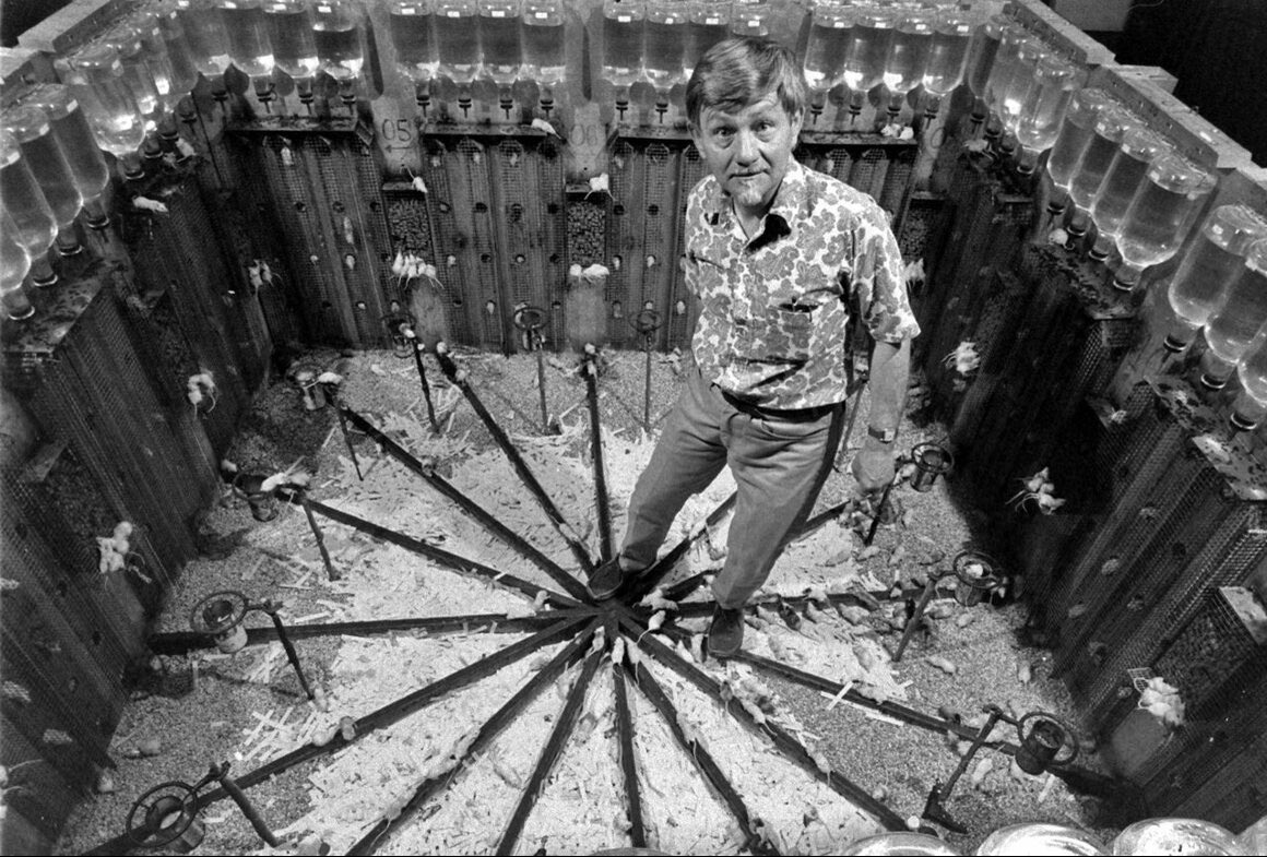 KrakenCove tweet media