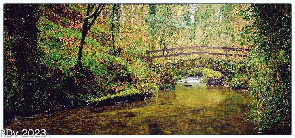 rosie_52's tweet photo. Dun a Ri Forest Park
#dunari #forest #forestwalk #walking #walk #outdoors #explore #cavan #TwitterNatureCommunity #TwitterNaturePhotography
#nature #NatureBeauty #NaturePhotography #naturelovers #photooftheday #travelphotography #Ireland
@ThePhotoHour @YourAwesomePix https://t.co/AIvsUWoKvG