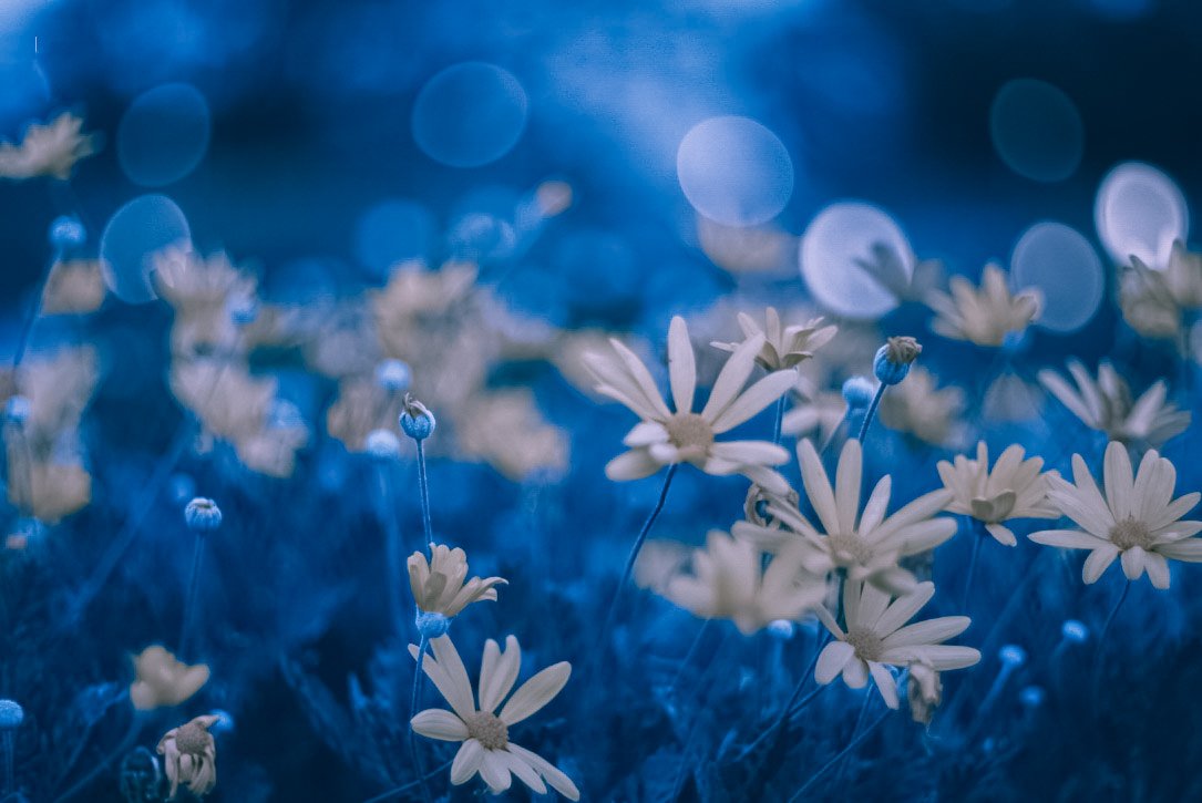 心の広い方、お願いいたします 掴もうぜ！最寄りの受話機！♪ 〽︎企業がいっとー恐れる組織