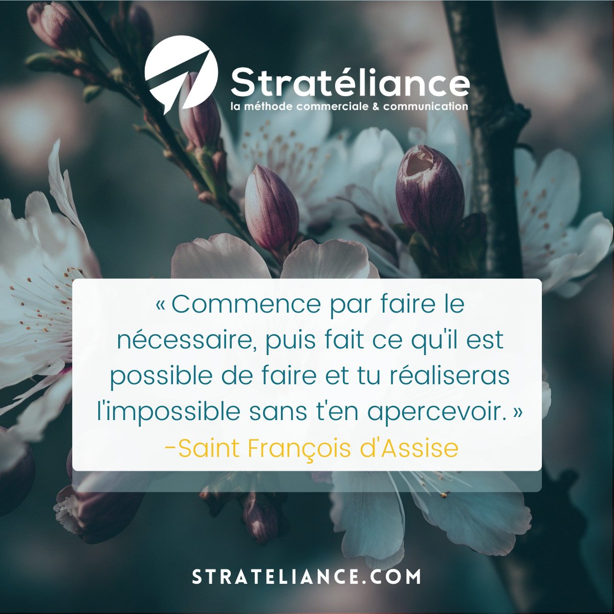 [ Citation ✍️ ]

Avancer pas à pas pour arriver à destination.

#citation #developpementpersonnel #psychologiepositive #objectif #confiance #positiveAttitude #force  #reflection #entreprise #motivation #strateliance