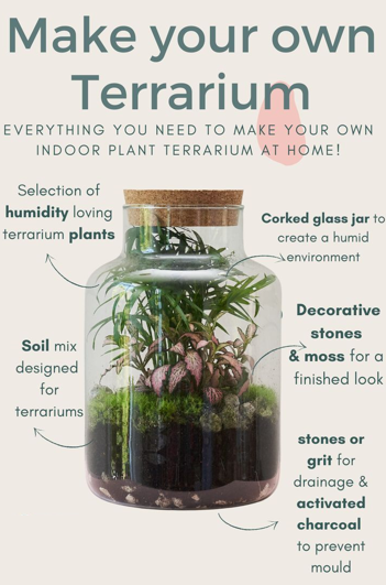 LadyTurnip17's tweet photo. Feel like your living room could do with some plant love? 

Terrariums are glass enclosures with a fantastic display of slow-growing plants inside. They offer a wonderful opportunity to experience nature indoors.

#Terrarium #Houseplants #Aesthetic https://t.co/86k3LINzL0