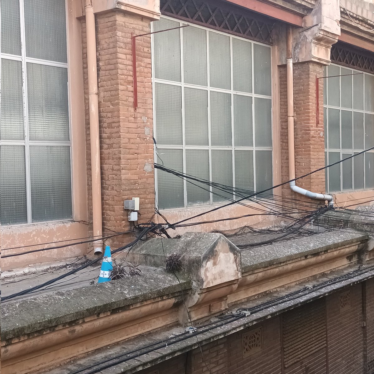 Veïns Maignon tweet media