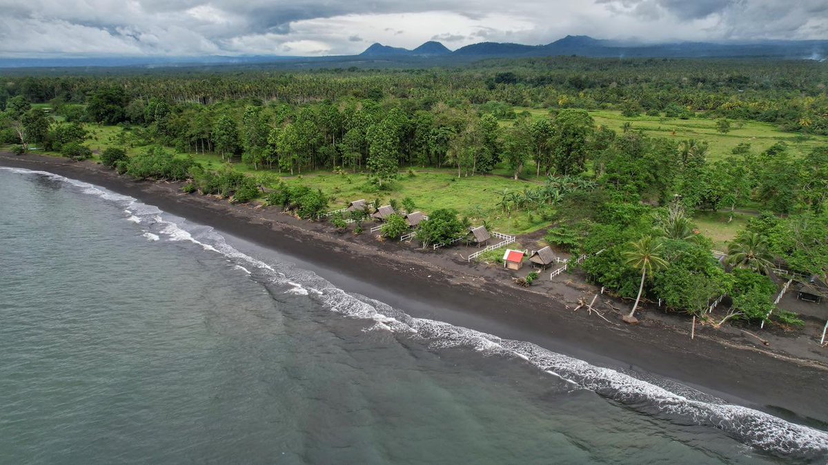 🅗 🅐 🅝 🅔 🅔 🅨 🅐 🇵🇸🌙 tweet media