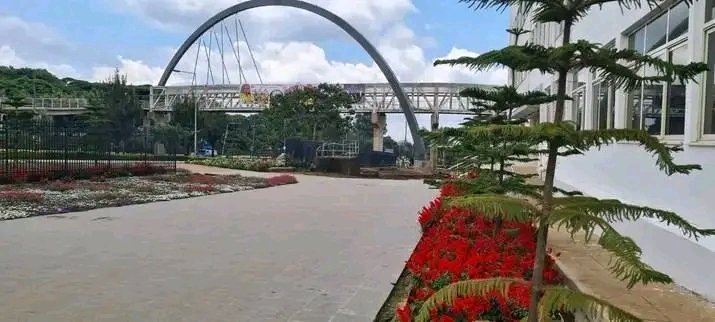 bonso_bude's tweet photo. The pride of my generation! 

Arsi university!!! https://t.co/VZsxniOULv