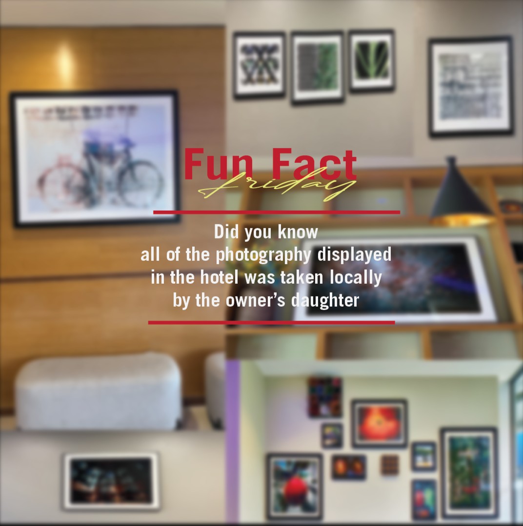 fourpointstally's tweet photo. Throughout the hotel, you might have noticed the pictures on the wall. Well, they were all taken at local Tallahassee spots. Swipe to see more! https://t.co/hsnV9gkwCt