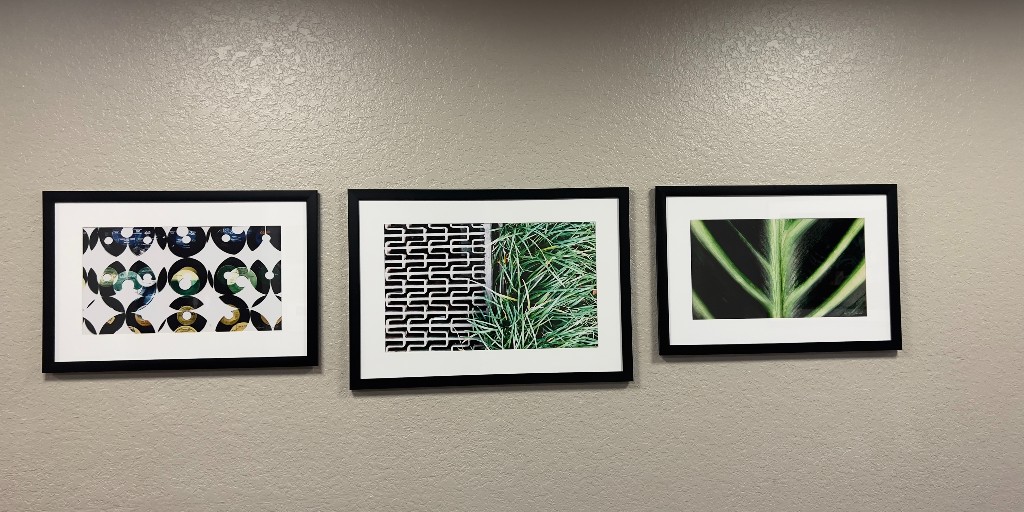 fourpointstally's tweet photo. Throughout the hotel, you might have noticed the pictures on the wall. Well, they were all taken at local Tallahassee spots. Swipe to see more! https://t.co/hsnV9gkwCt