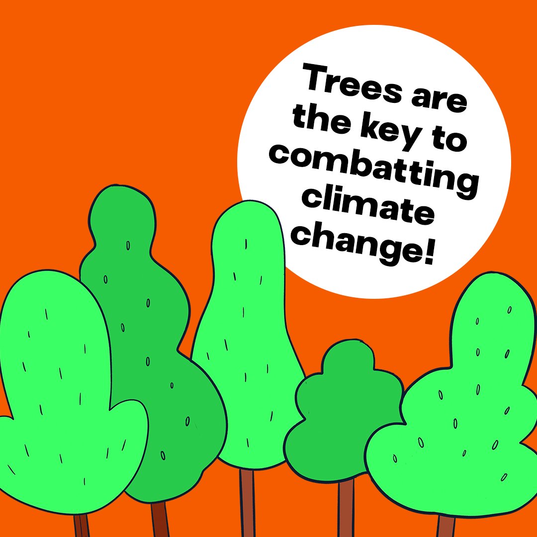 #FactFriday Did you know that trees act like Earth's lungs? They purify the air and cool down the planet by transforming carbon into oxygen. Every time we plant a tree, we're helping the world breathe. Our dream is to #saveplanetearth by #reforesting and #restoring environments.