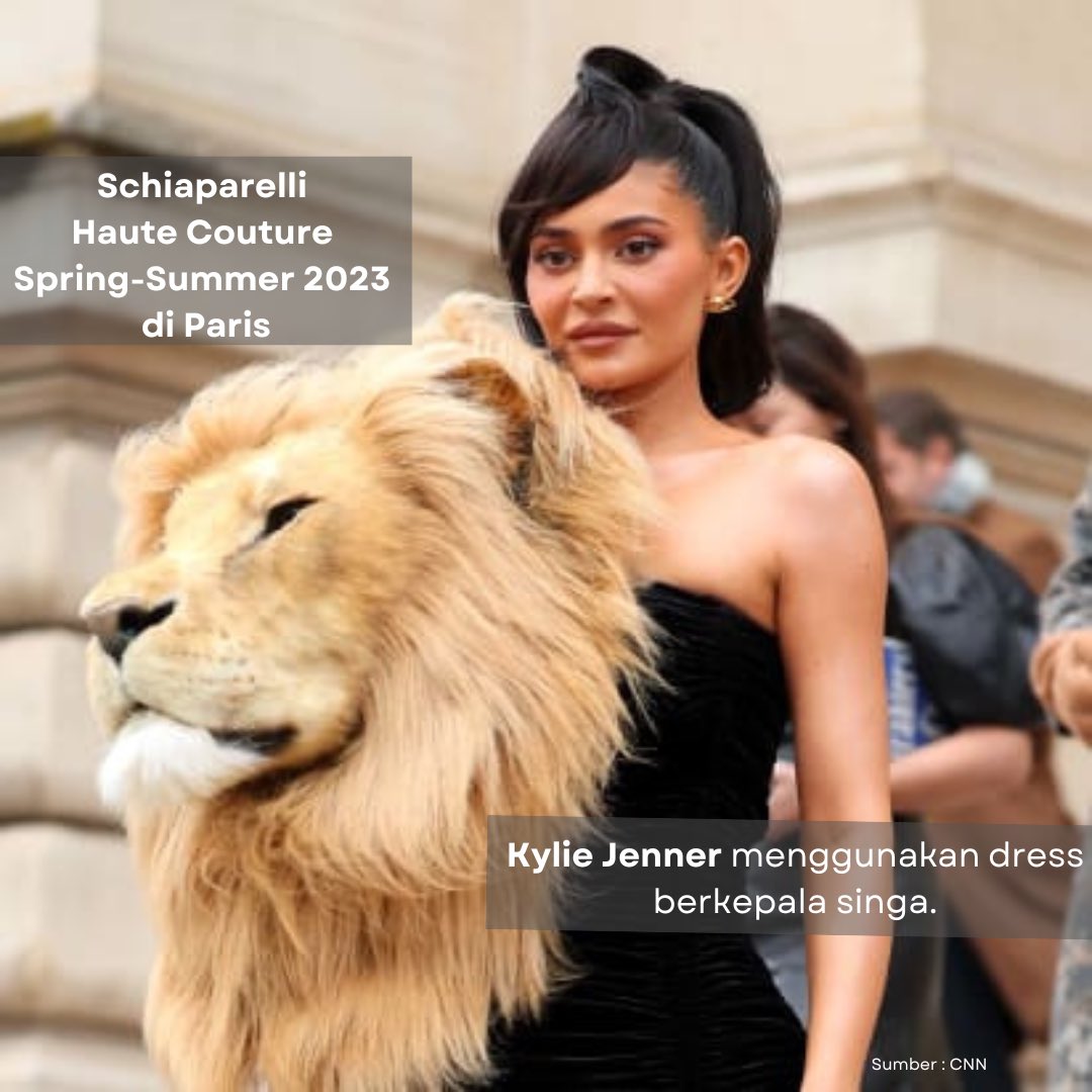 fyinsight's tweet photo. Rawr🦁 https://t.co/ZkX9DG8Y6F