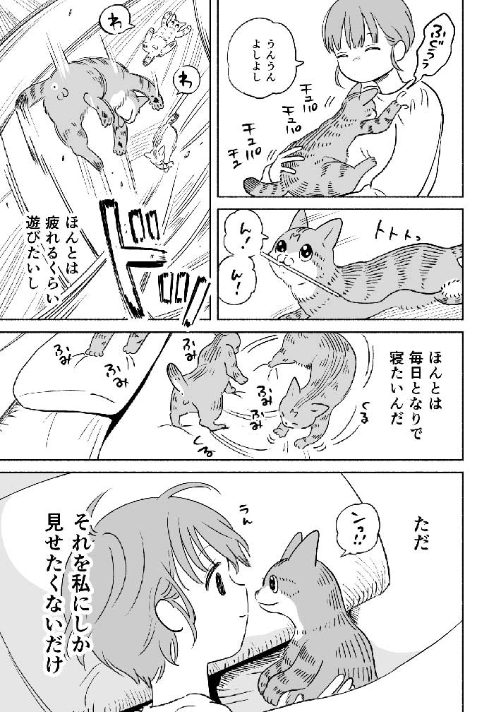 甘えに来ないツンとした猫 「クールやな」という評価は『誤解』で? https://t.co/UVZzN2qFNk @grapeejpより 