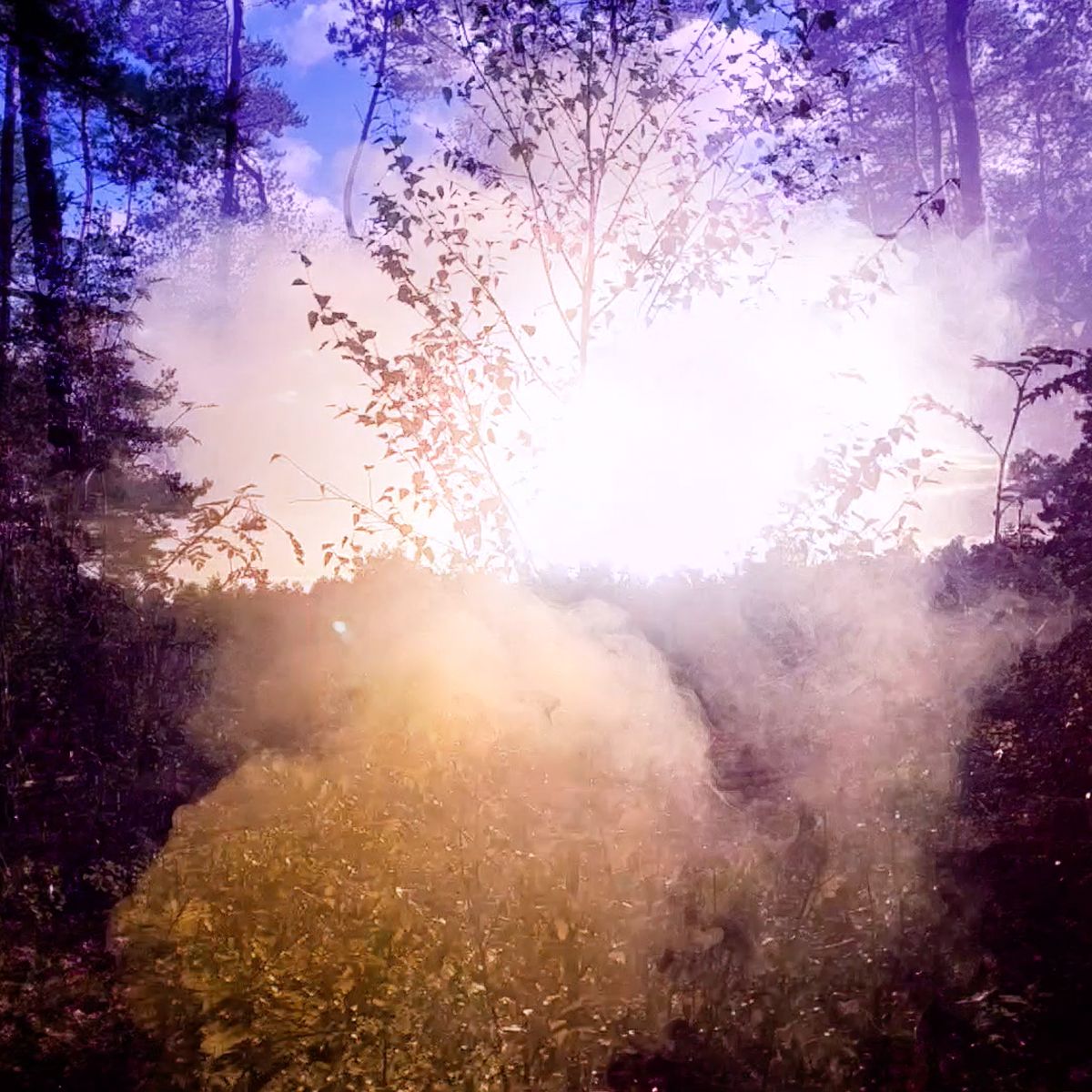 Indie band Baker-Miller Noir brengt debuutsingle Ashes uit - mailchi.mp/ae562b970fc4/i…