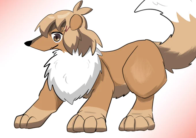 犬花 
