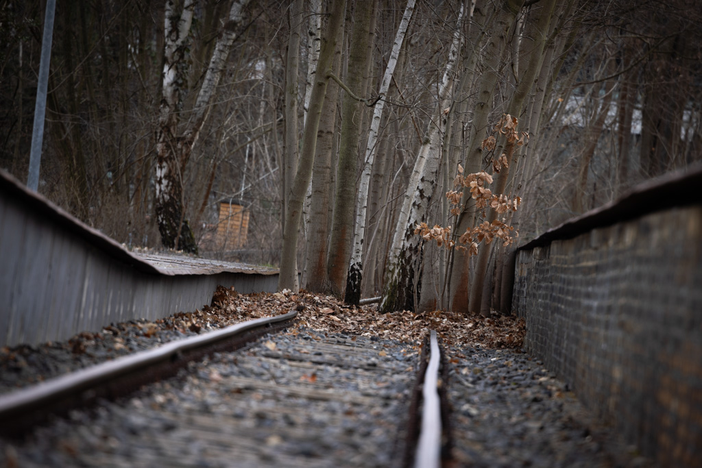 Gleis 17 im #Grunewald. Von hier aus deportierten deutsche Täterinnen und Täter 1941-42 ca. 10.000 deutsche Jüdinnen und Juden in Viehwaggons in Arbeits- und Konzentrationslager. Fast alle wurden ermordet. 

Das dürfen wir nie vergessen. #WeRemember