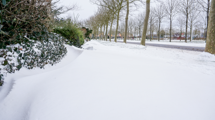De winter wordt per jaar een dag korter. Bron afbeelding: OnweerOnline onweer-online.nl/forum/topic/48… #Winter #Nederland #Klimaat