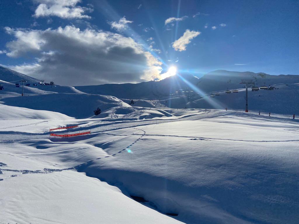 Progressive Living tweet media