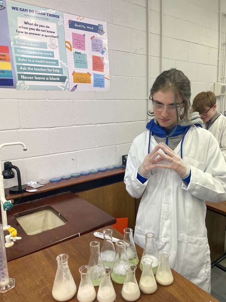 Coláiste Mhuire Johnstown KK tweet media