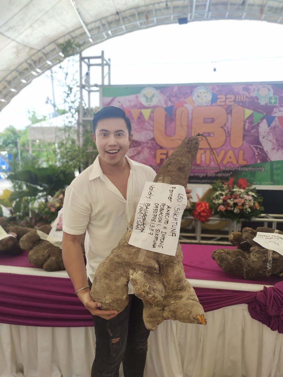 kobebuzz's tweet image. Gigantic Ube varieties on display at 
2023 Ubi Festival in #bohol

#ubifestival2023 #upsizeube