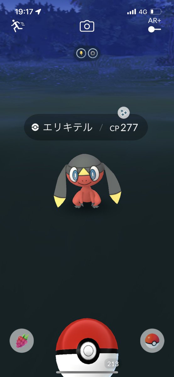 ポケモンgo 専用 Indoplast Co In