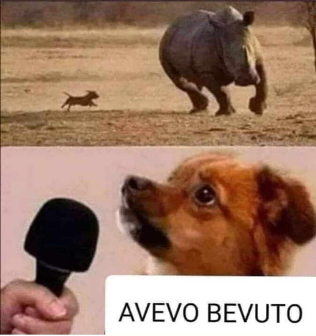 Capita ogni tanto 😏