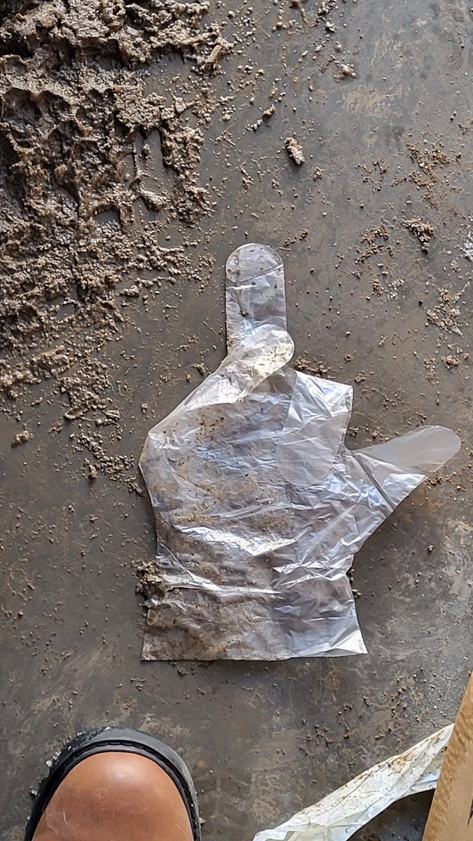 dangoldmedia's tweet photo. I opened my garage yesterday and there on the floor gusting around was a disposable glove. Before I binned it, it shared a message with me.
#funny #howonearth #onlyincanada https://t.co/q8mrO1OvFP