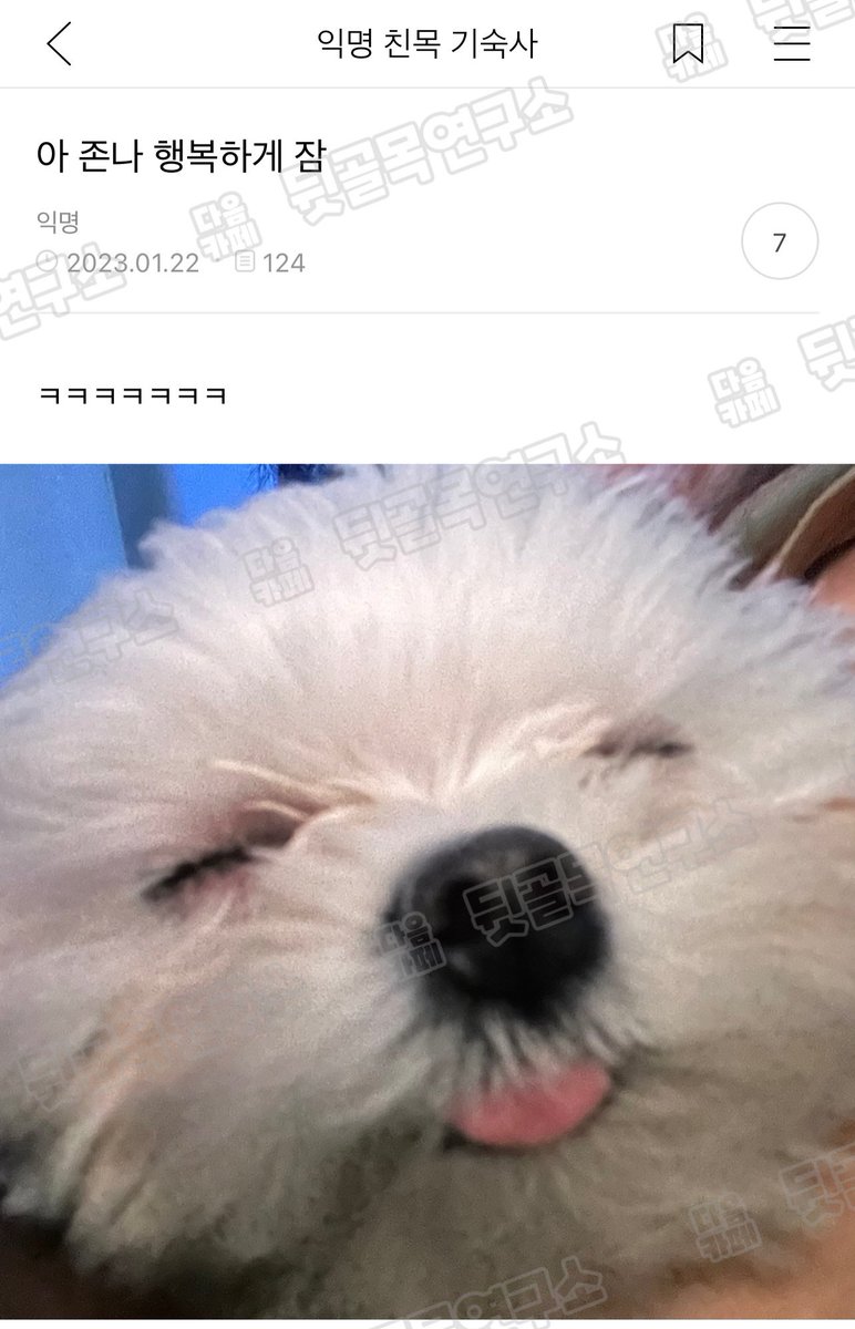 아 존나 행복하게 잠