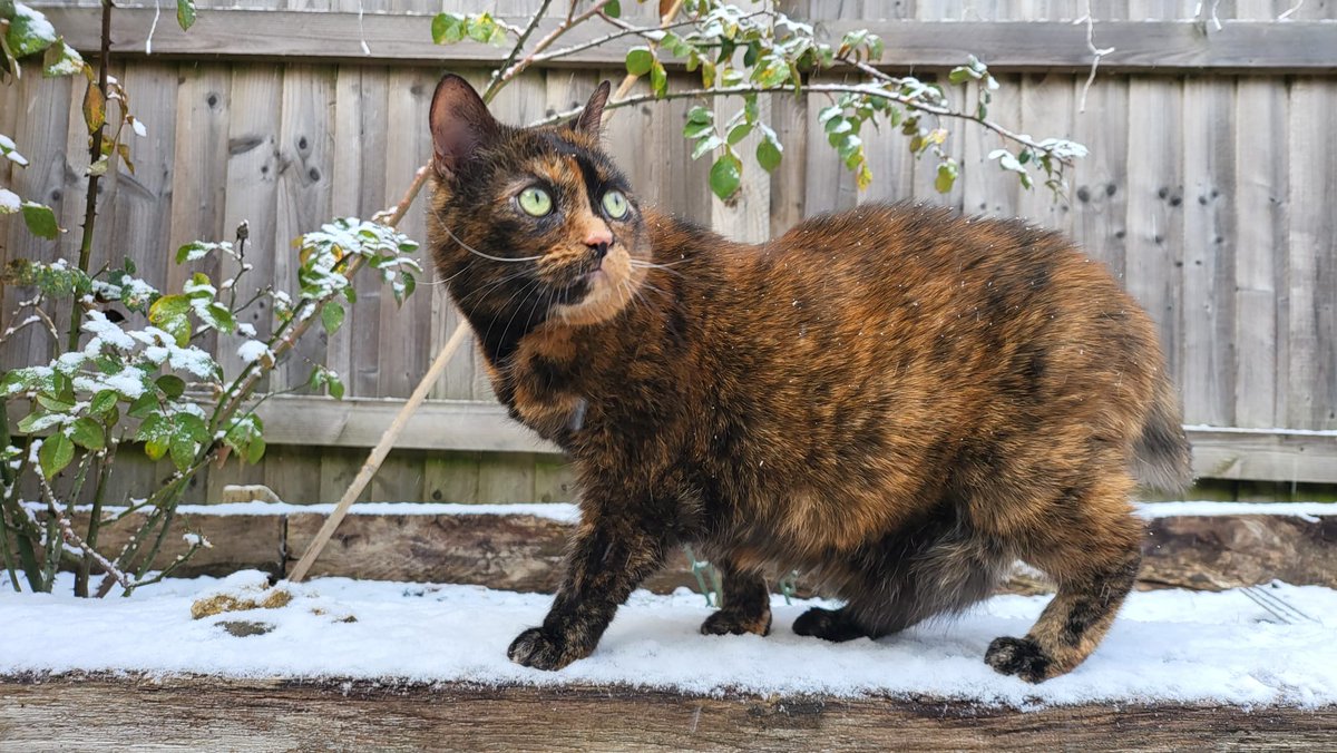 ALEX LOLIES - BLM❤️ tweet media