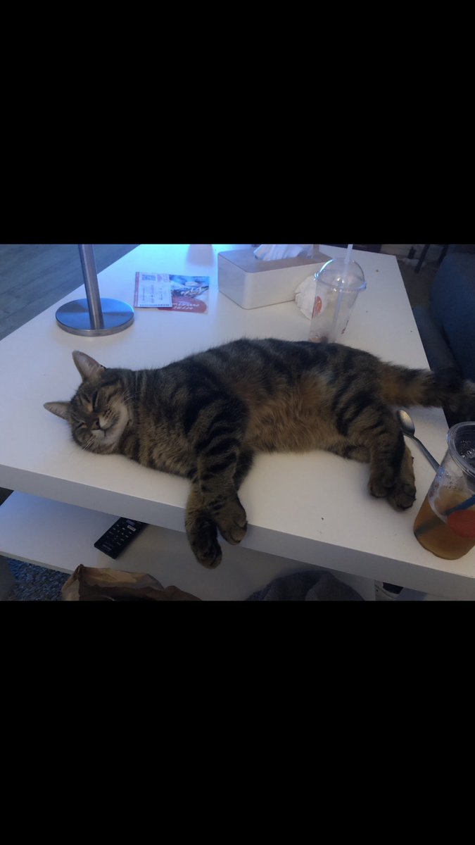MargottGB's tweet photo. @tavujesus Luna vs LUNA. Pâté devenu gros pâté https://t.co/2SHEWpjJiy