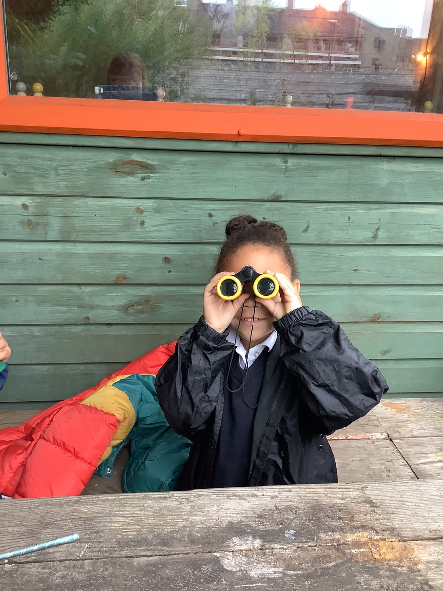 Come on birds! We want to see you!