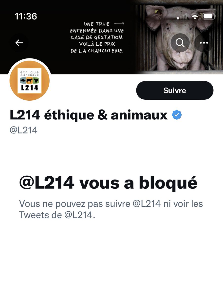 Dr Toudou tweet media