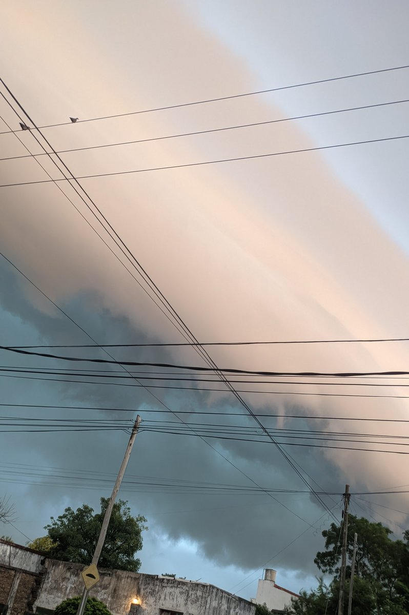 Pablo Azt. tweet media