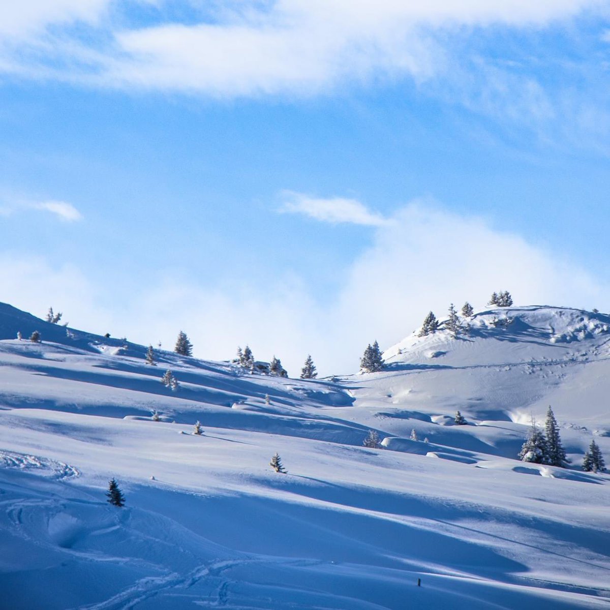 FLAINESki's tweet photo. #panorama #topconditions #cacestflaine #poudreuse #peuf #conditionsideales #grandbeau #ski #snow #deepsnow #freshsnow #regalade https://t.co/ueITdnShd1