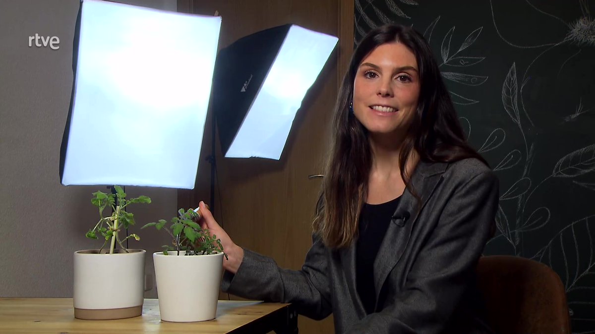 AQHT_TVE's tweet photo. 1⃣Produce papel que se planta y no se tira
2⃣Fabrica jabón con aceite usado
3⃣Crea una aplicación para hacer terapia de pareja sin ir a consulta

EmprendedorAs que han conseguido una beca 𝗦𝗶𝗴𝘂𝗲 𝗮𝗱𝗲𝗹𝗮𝗻𝘁𝗲 con financiación, formación y difusión
https://t.co/1MiIrz9lcO https://t.co/DpsqeqVwWM