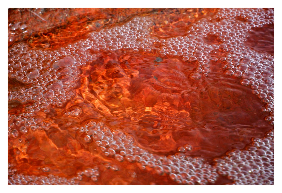 and2ia37's tweet photo. Abstract nature
https://t.co/8kbROw6y5c

#NFTs #NFT #NFTCommunity #nftart @opensea @nftnftnftart #nftcollector #nftphotography #nftphotographer https://t.co/Ei87M3LfQ0