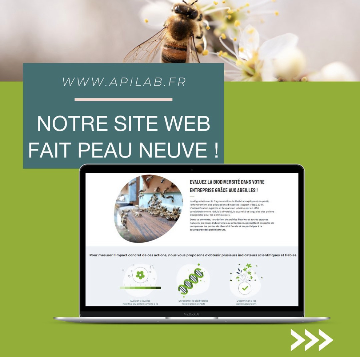 Apilab's tweet image. #VendrediLecture  
Notre site web apilab.fr fait peau neuve!
N’hésitez pas à aller le visiter💻

Vous y retrouverez en détails nos offres et les indicateurs que nous proposons pour mesurer la qualité de votre environnement 🏭🌸🌷🐝
#biodiversité #environnement #RSE
