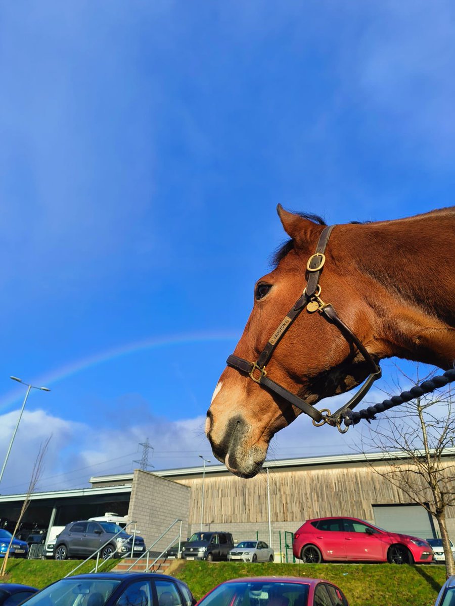 WY Police Horses tweet media