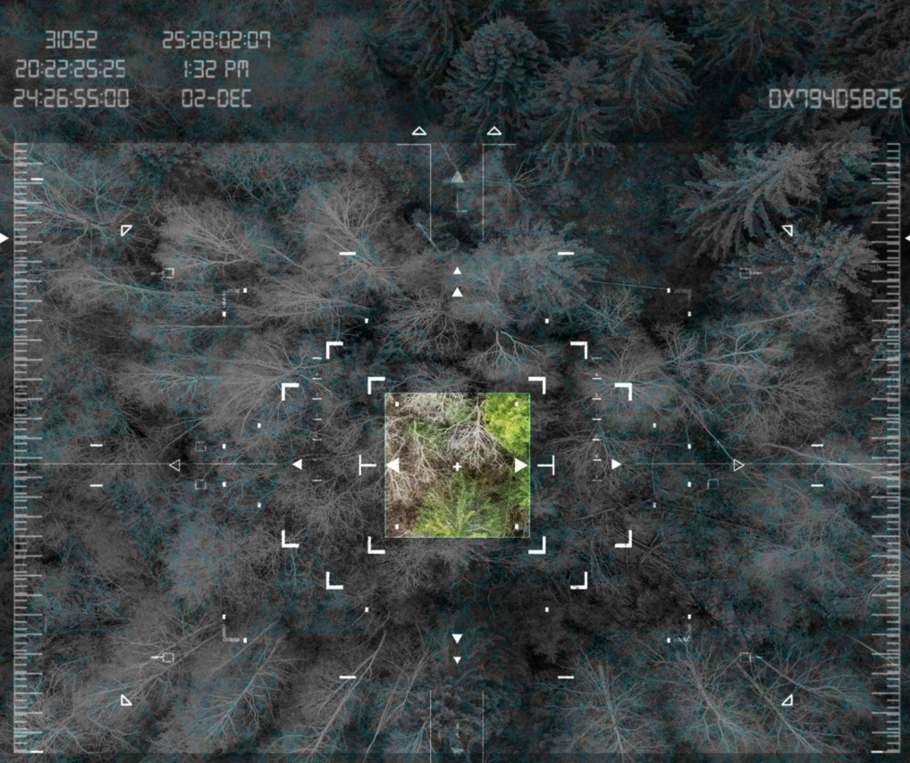 El nuevo Grupo Operativo #GObosques3_0 trabajará en la #digitalización y #teledetección del uso sostenible de los #bosques. 
Aquí os dejamos la noticia completa👉bit.ly/3RejH6E
#ProgramaNacionalDesarrolloRural #FEADER