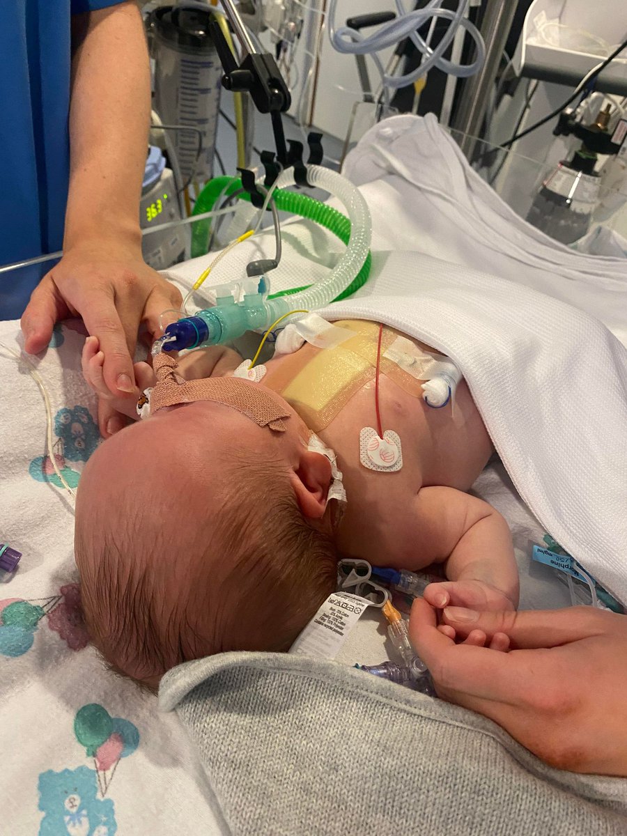 Could you be the next generation of PICU nurses to hold the hands of our young patients like Charlie, in their recovery journey? Our PICU Nurses make such an important impact on our young patients Join our incredible PICU team, full details below👇 apply.jobs.scot.nhs.uk/Job/JobDetail?…
