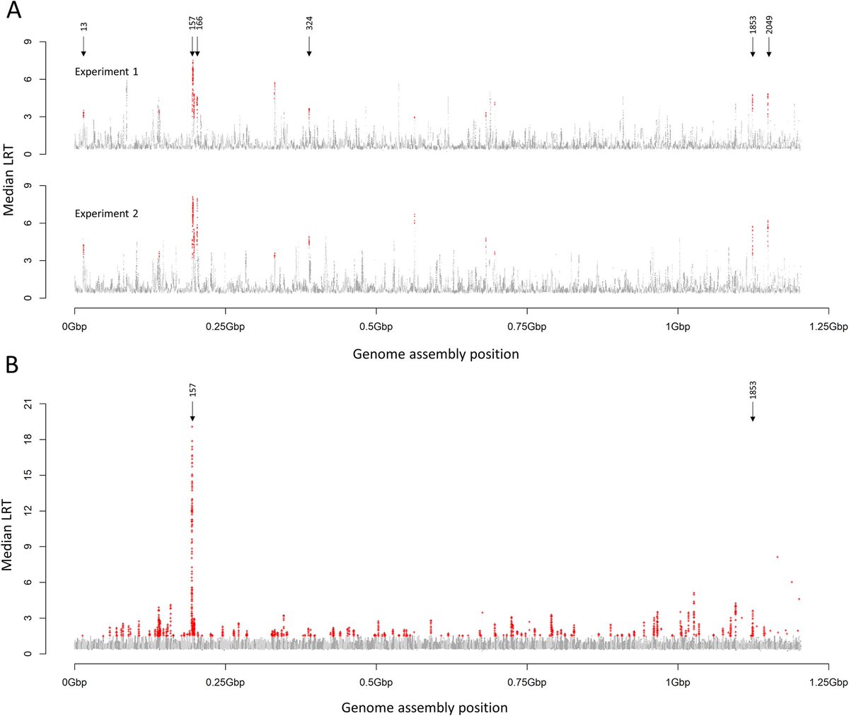 CGR Uni of Liverpool (@cgr_uol) on Twitter photo Great work from <a href="/njbeesley/">Nicola Beesley</a> & <a href="/jane_jhodgkin/">Jane Hodgkinson</a> Genomics used to zero in on the gene responsible for resistance in liver fluke. <a href="/BBSRC/">Biotechnology and Biological Sciences Research</a> <a href="/LivUni_IVES/">Inst of Infection Veterinary & Ecological Sciences</a> <a href="/scottishwormboy/">Steve Paterson</a> <a href="/DianaWilliadj/">Diana Williams</a>
journals.plos.org/plospathogens/… Great work from <a href="/njbeesley/">Nicola Beesley</a> & <a href="/jane_jhodgkin/">Jane Hodgkinson</a> Genomics used to zero in on the gene responsible for resistance in liver fluke. <a href="/BBSRC/">Biotechnology and Biological Sciences Research</a> <a href="/LivUni_IVES/">Inst of Infection Veterinary & Ecological Sciences</a> <a href="/scottishwormboy/">Steve Paterson</a> <a href="/DianaWilliadj/">Diana Williams</a>
journals.plos.org/plospathogens/…