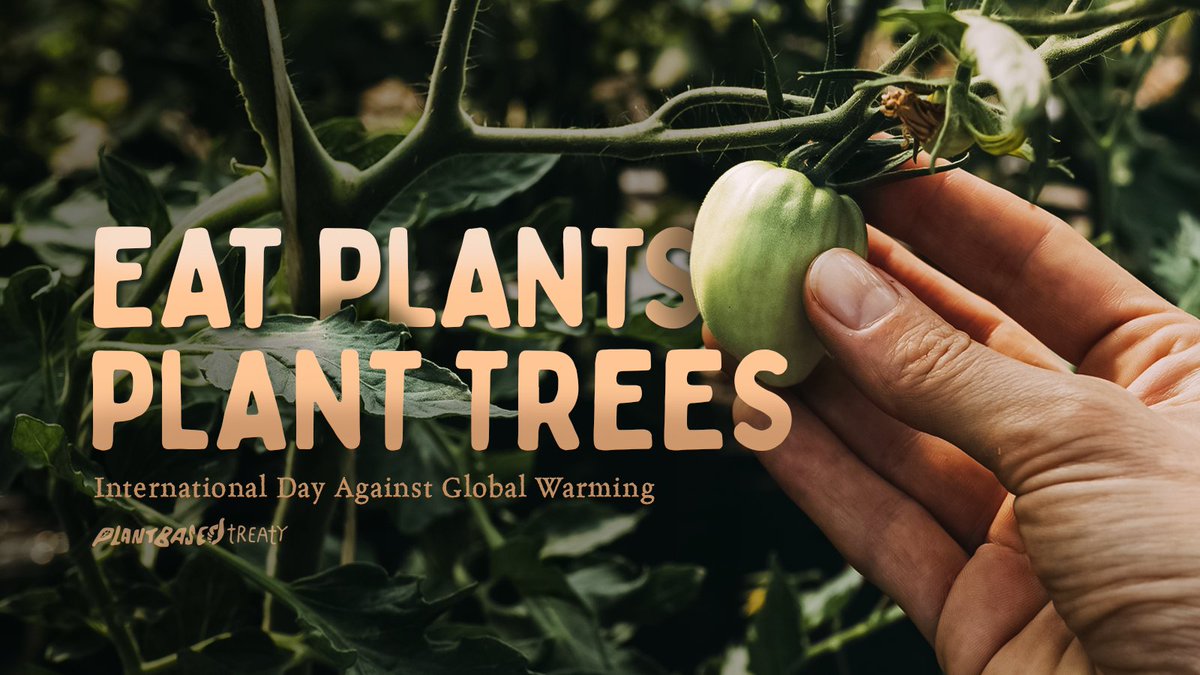 The solution is simple and the future is plant-based!
FIGHT THE CLIMATE CRISIS, #ReduceCO2emissions &amp; endorse the #PlantBasedTreaty 🌱
Add your support at 👉 plantbasedtreaty.org