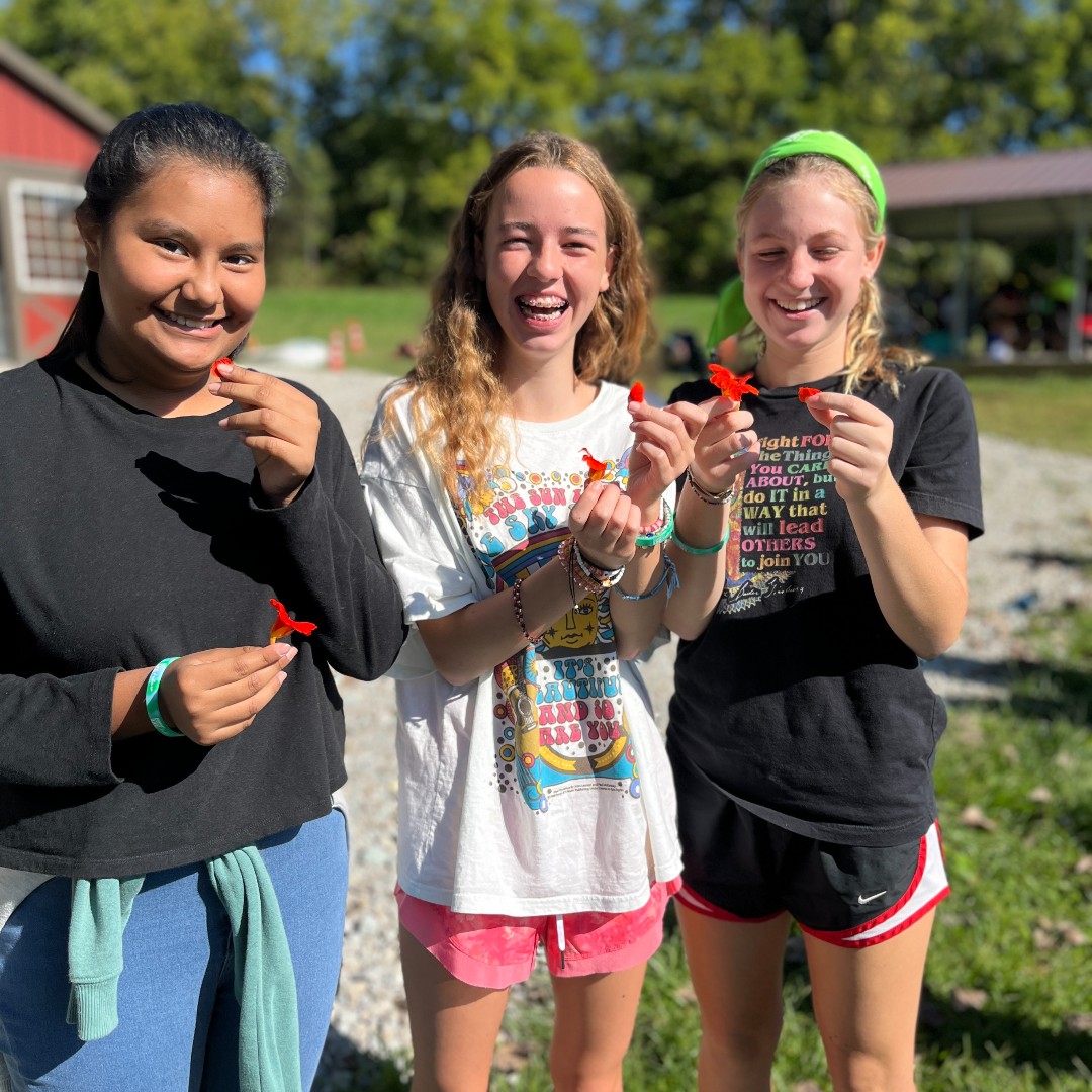 thestemconnect's tweet photo. Thinking of bringing your class to the farm for a STEM Field Trip? Now is the time to book!
Sign up to join us at The STEM Connection in March, April or May: https://t.co/GgVfVWybA8
#TheSTEMConnection #STEM #MooreRdFarm #fieldtrips #fieldtripIndy https://t.co/S2Ru7B2gqb