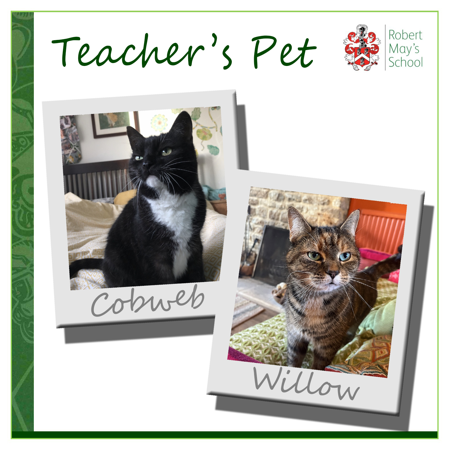 Robert May's School Official on Twitter "Each week we show you a pet belonging to a Staff