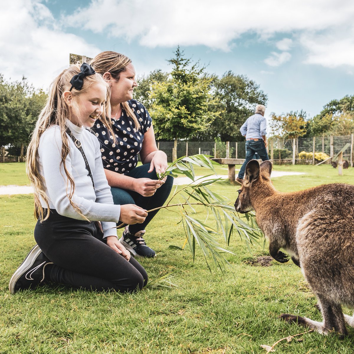 PeakWP's tweet photo. 5 days left to get a FREE VISIT 🙌

Just visit the park before the end of January and you’ll get a FREE RETURN VISIT on us! 

#FridayFeeling #FreeVisit https://t.co/GJmdHpz9Wz