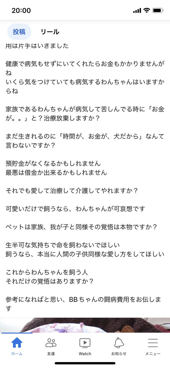 hirokosandayon's tweet photo. 4年位前のFBの私の投稿です
この投稿の翌月BBちゃんはお星様になりました🌈
可愛いから？さみしいから？と犬を「買って飼おう」としてる方に読んでもらいたいです
家族を迎えるのはご飯と水さえあげて遊んでやればそれでいいって思ってる人、是非これを読んでみて下さい🙏 https://t.co/dP4MT2B6AX
