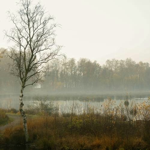 O schaurig ist's über's Moor zu gehn...