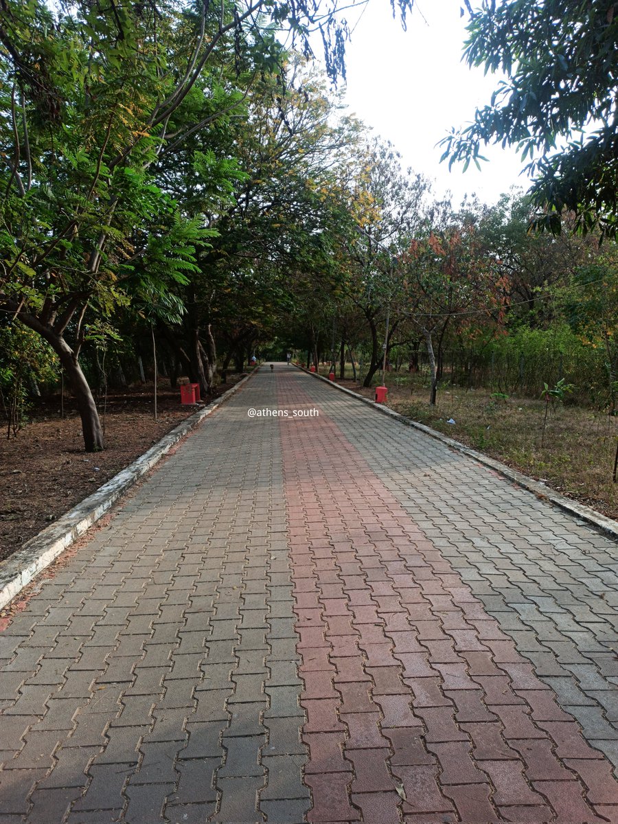 uskumar1301's tweet photo. Evening Madurai 🌲💚
#Vandiyur #Walkersclub #Park #Madurai #Templecity #Evening https://t.co/Awi0E8L8Hc