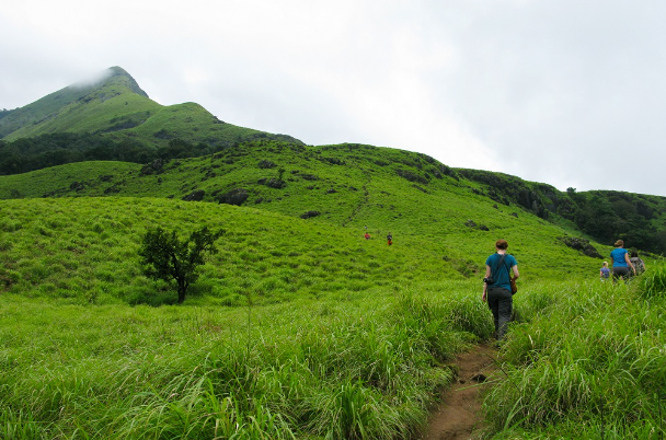 CrewsDigital's tweet photo. Introduction

Trekking is one of the most popular and thrilling adventure activities, and Bangalore is the perfect destination to experience it. With its diverse terrains and spectacular mountain views, the city provides the perfect conditions for

https://t.co/eCwllDMruG https://t.co/J9zzQPauPm