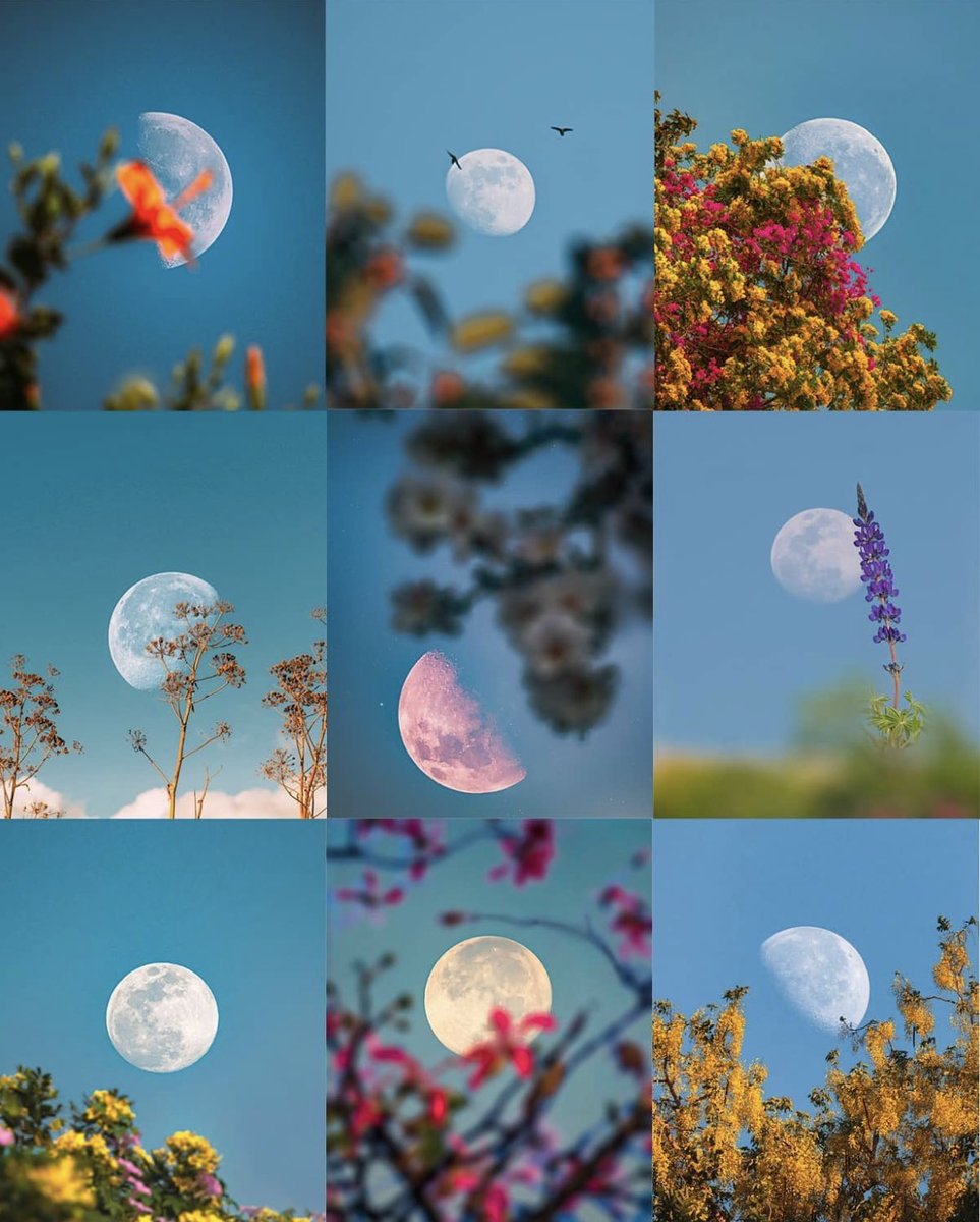 M1ONLOVER's tweet photo. Moon lover https://t.co/pcmVmgDWI0